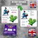 My First Sentences (HAVE GOT) game to learn English 7000 фото 4