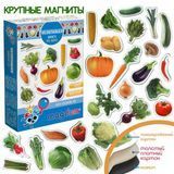 Набор магнитиков "Овощи" Magdum 2762 фото