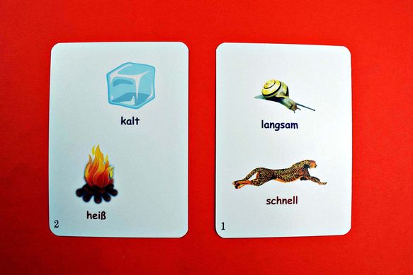 Карточная игра XXL FUN CARD GERMAN MY FIRST 600 WORDS 281 фото