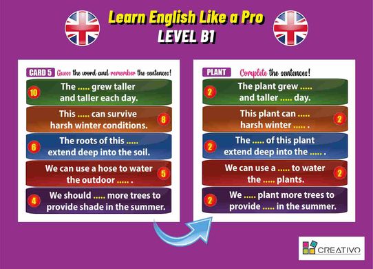 Обучающая игра Learn English Like A Pro (B1) 3040 фото