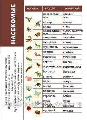 Розвивальна настільна гра "Комахи", Memory (Українське видавництво Калейдоскоп) 3084 фото
